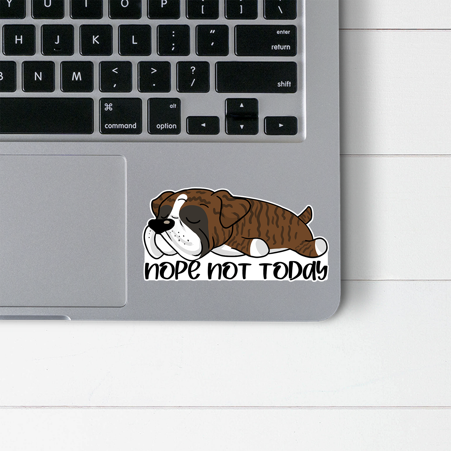 Boxer Nope Not Today Sticker