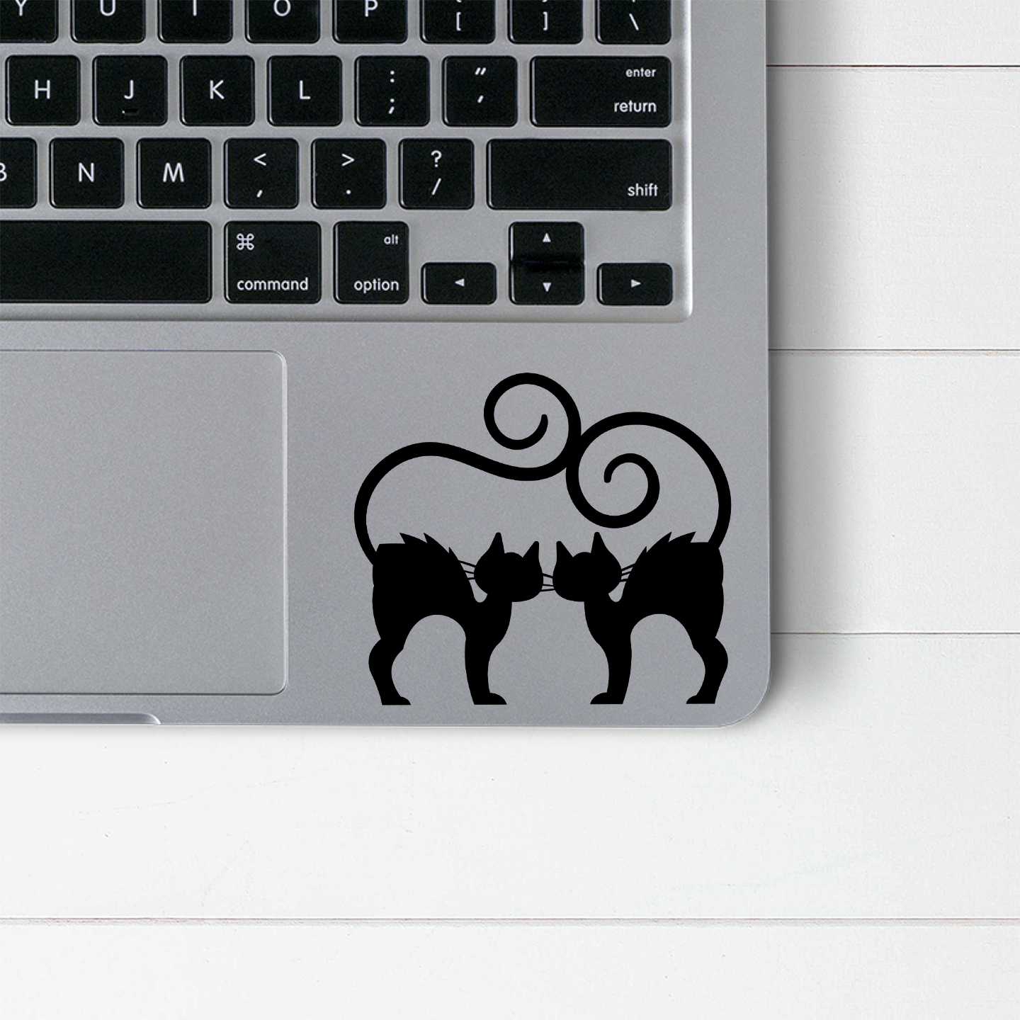 Black Cats Stickers