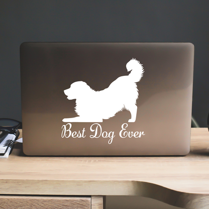 Bernese Mountain Dog - Best Dog Ever Sticker