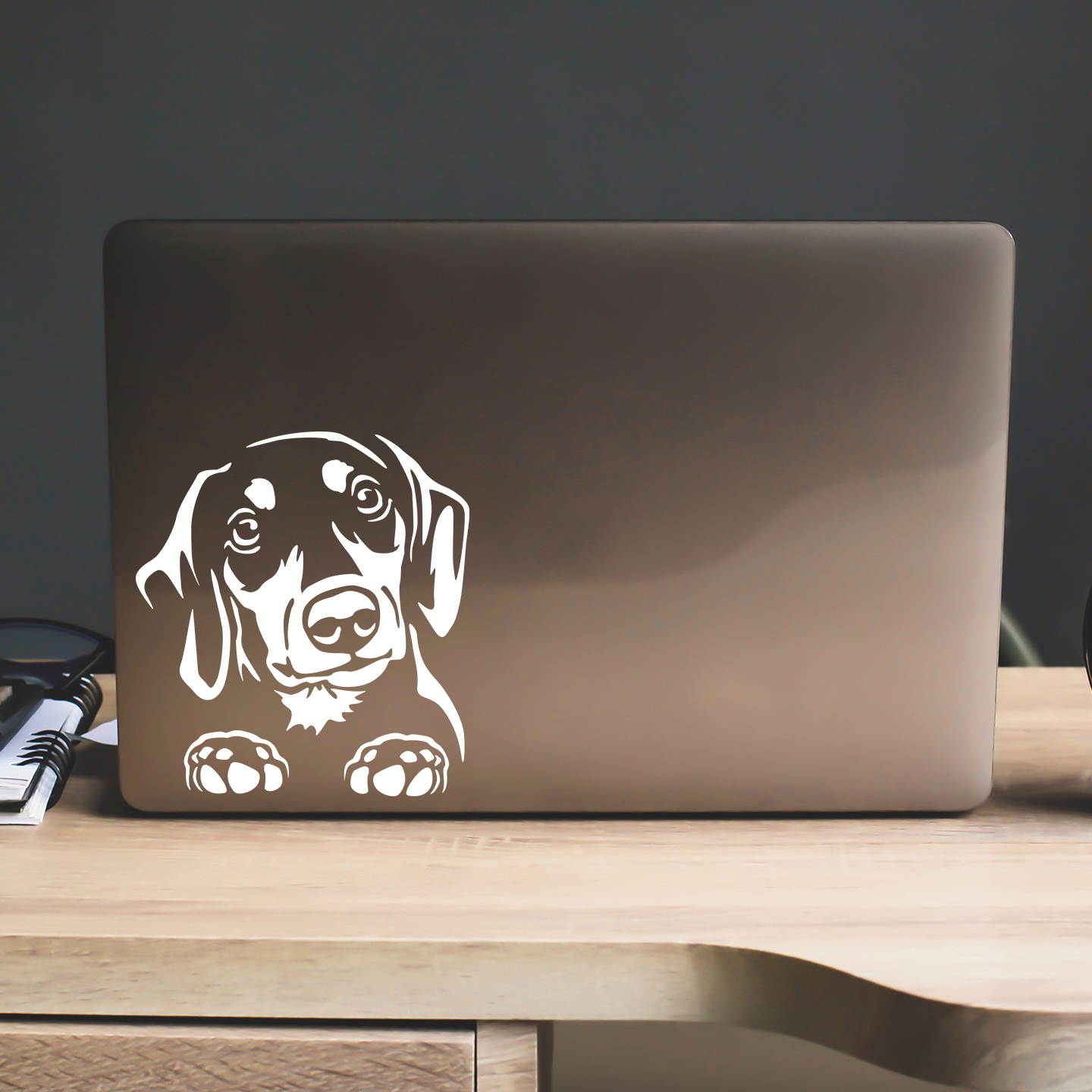 Dachshund Peeping Sticker