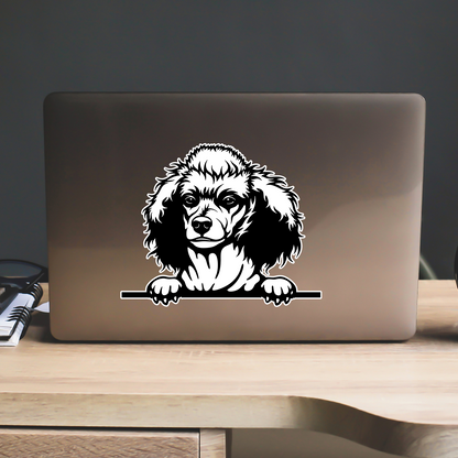 Poodle Sticker