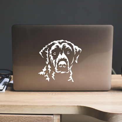 Curly Coated Retriever Sticker