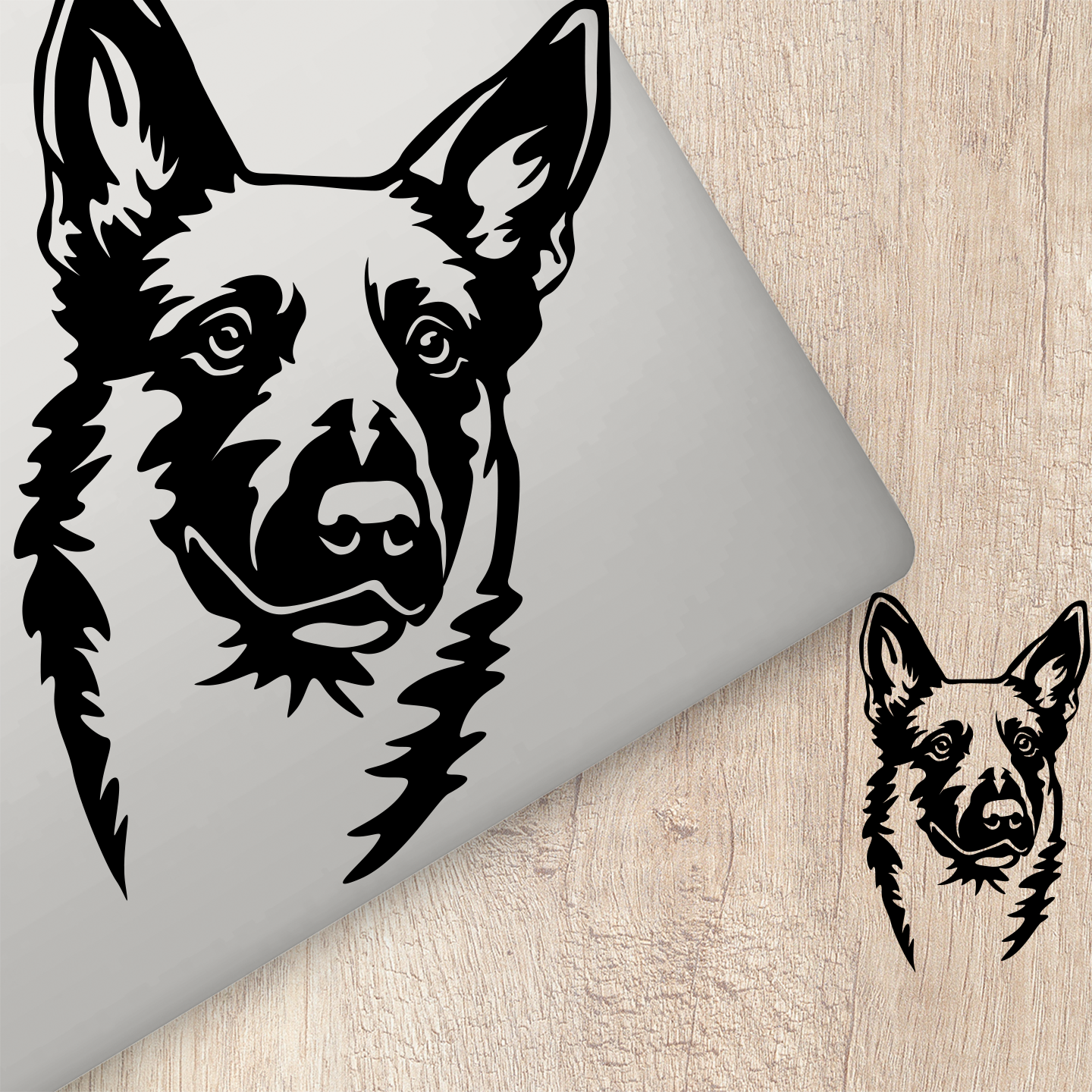 Malinois Sticker