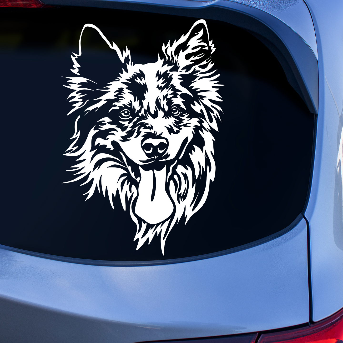 Merle Border Collie Sticker