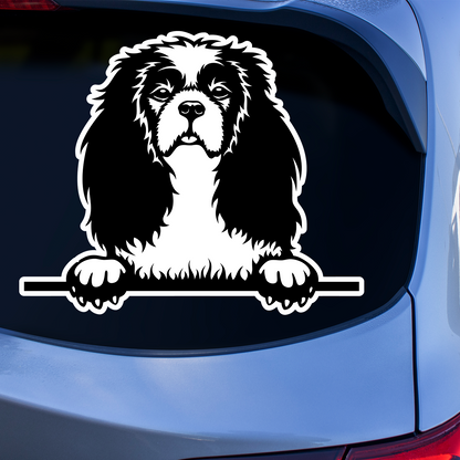 Cavalier King Charles Spaniel Sticker