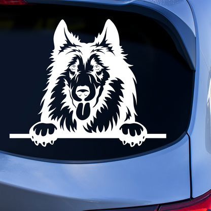 Collei Loading Sticker Rough Collie Sticker | Dog Stickers For Cars Australia – Pet Stickers ...