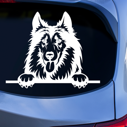 Rough Collie Sticker