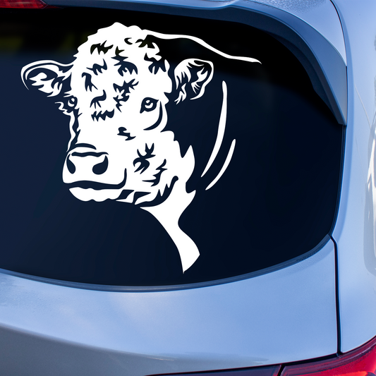 Hereford Cow Sticker
