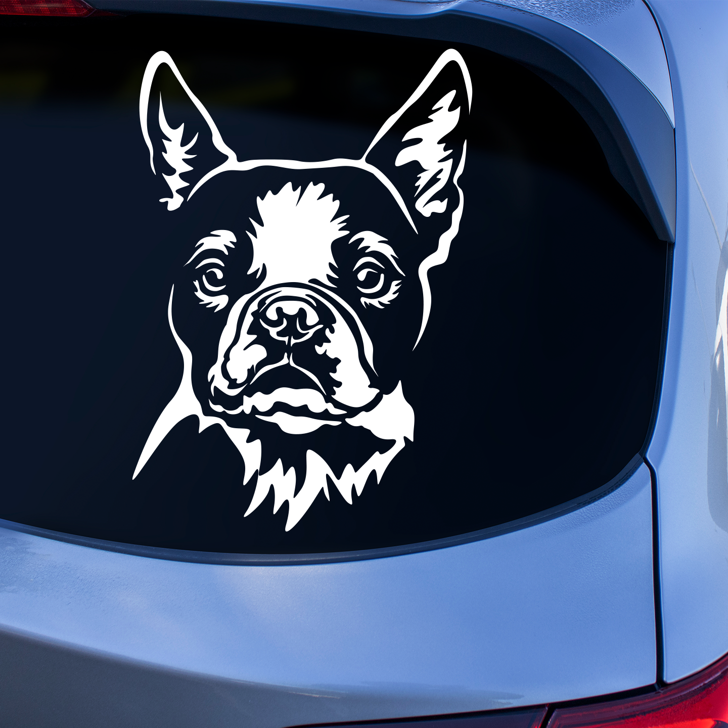 Boston Terrier Sticker