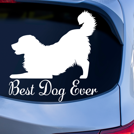 Bernese Mountain Dog - Best Dog Ever Sticker