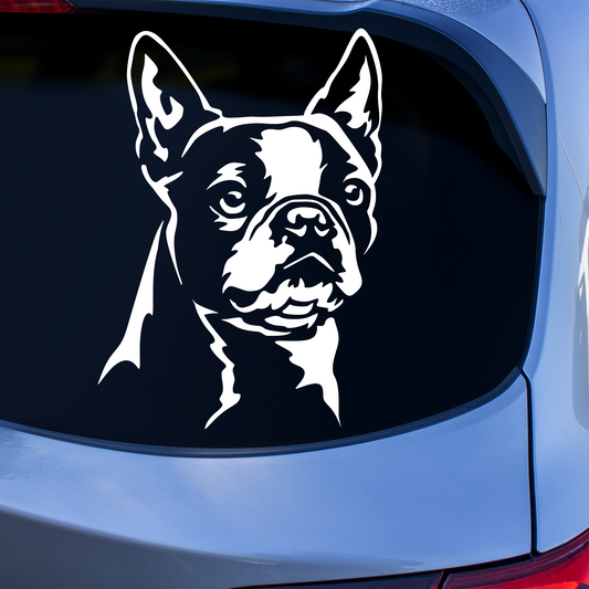 Boston Terrier Sticker