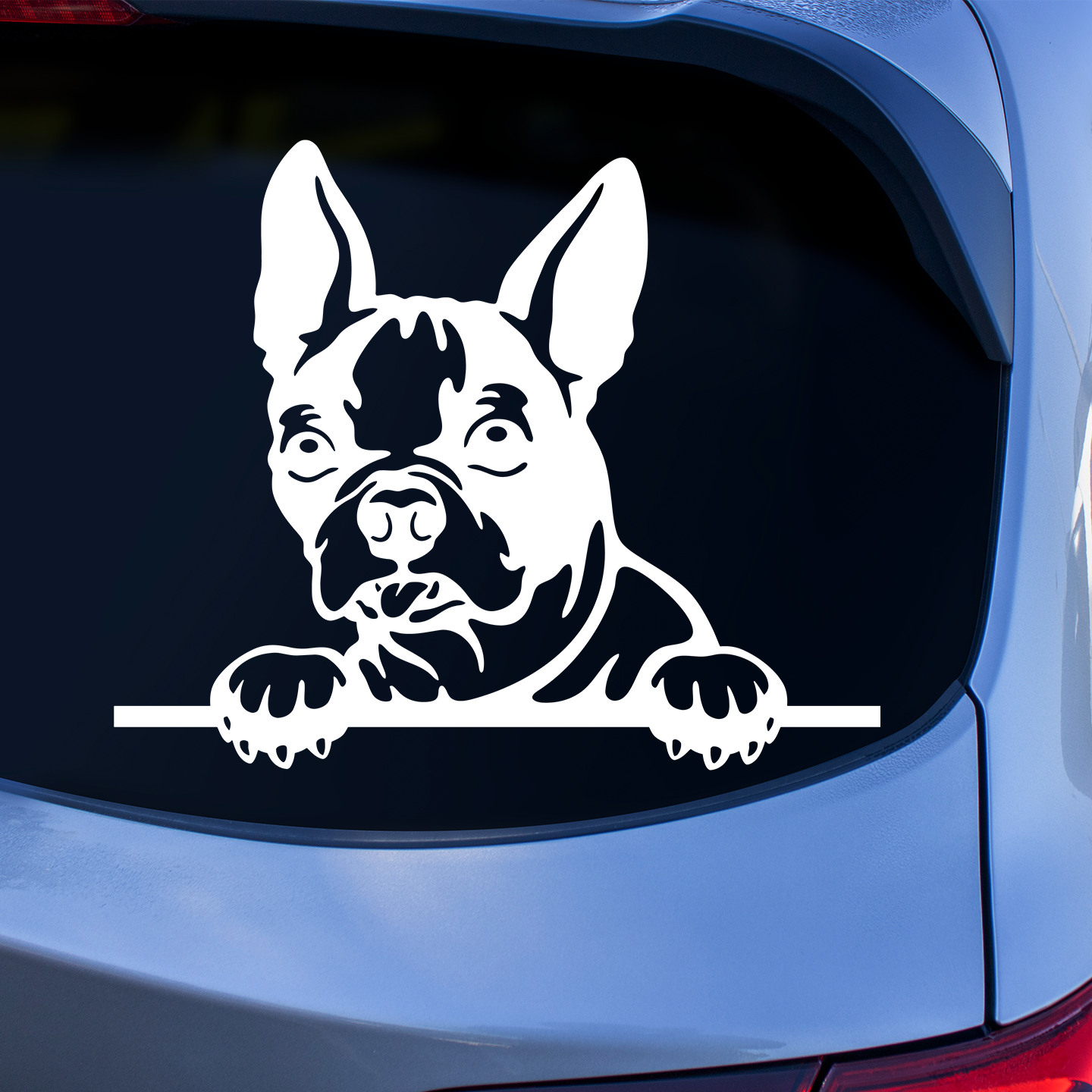 Boston Terrier Sticker