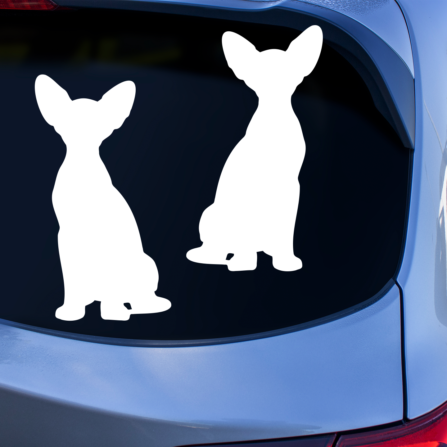 Peterbald Cat Silhouette Stickers