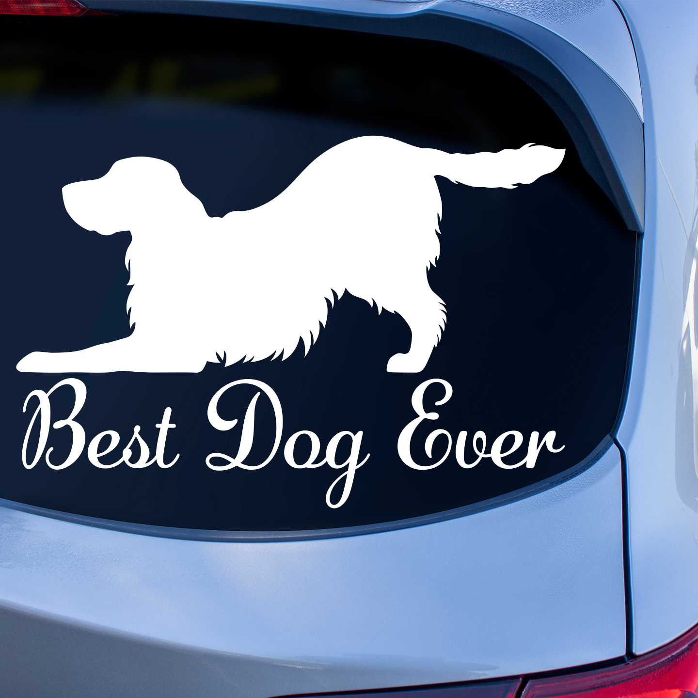 Best Dog Ever Springer Spaniel  Sticker