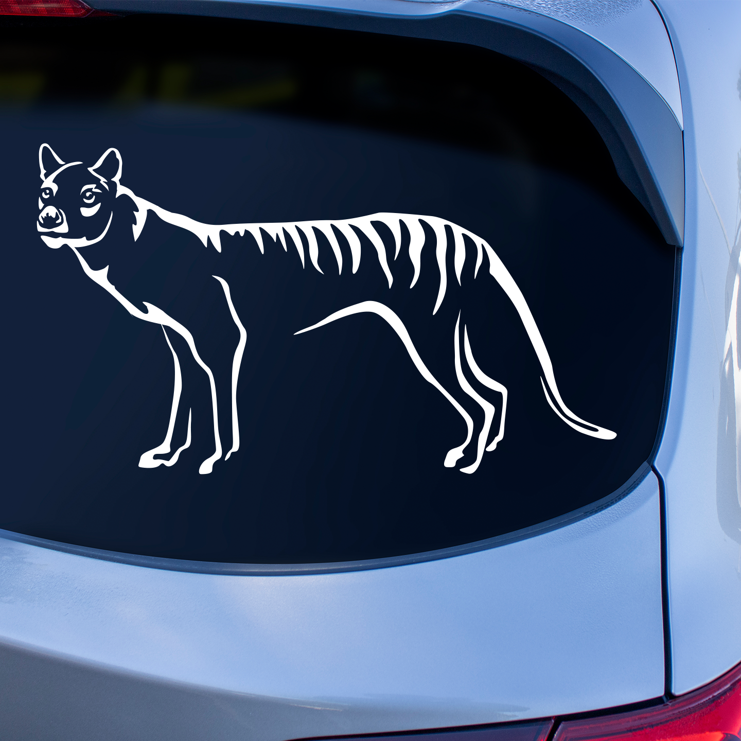 Tasmanian Tiger Sticker