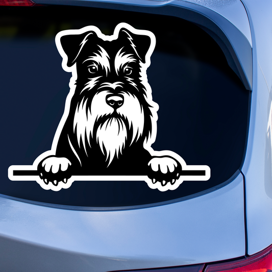 Miniature Schnauzer Sticker