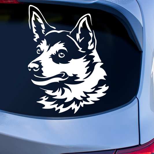 Swedish Vallhund Sticker