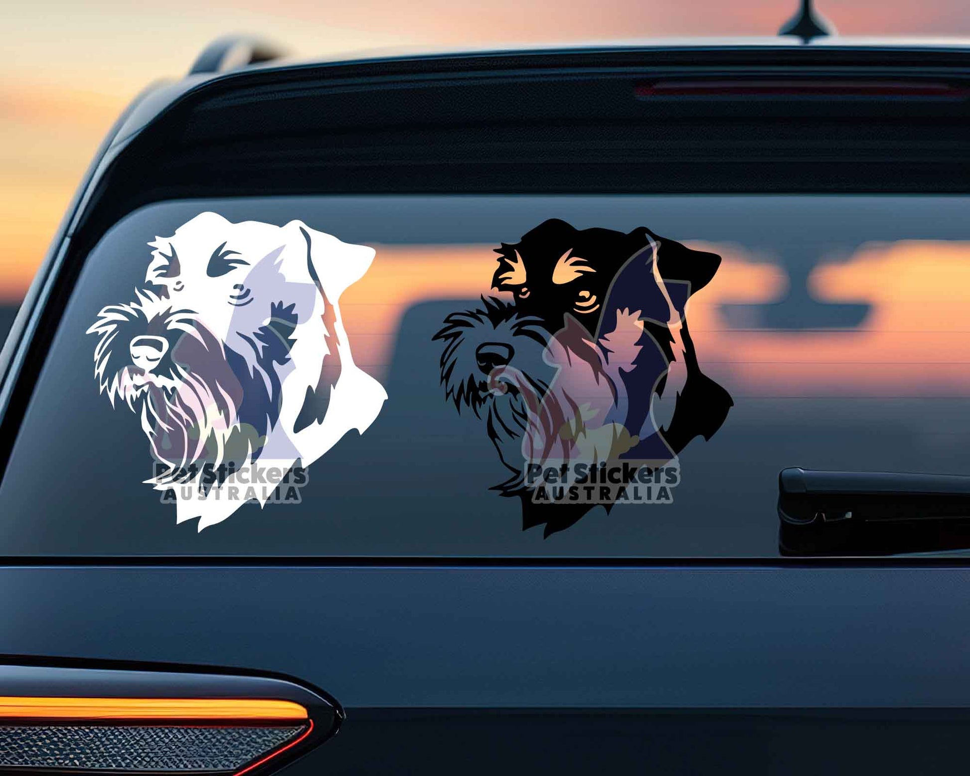 Miniature Schnauzer Sticker