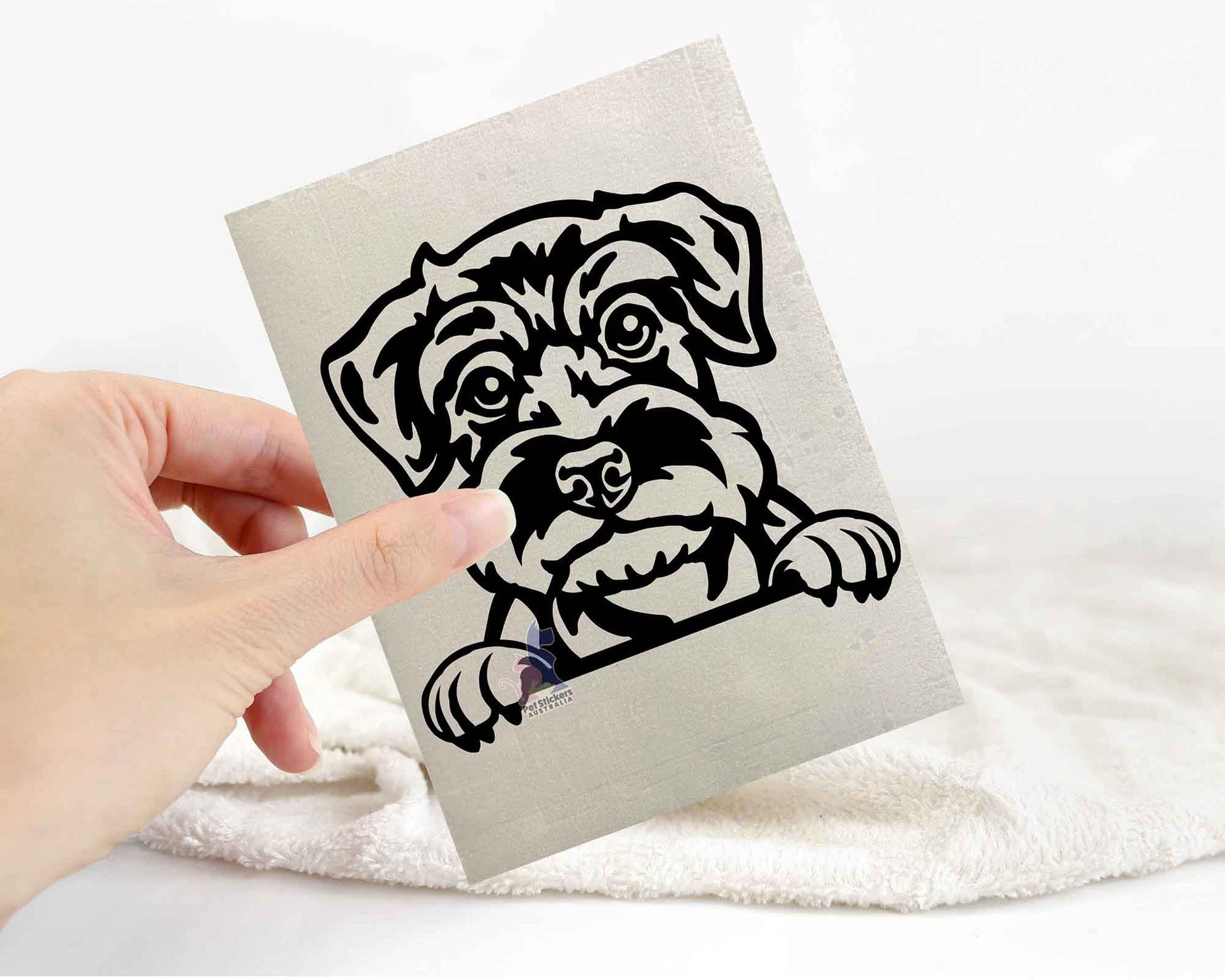 Miniature Schnauzer Sticker