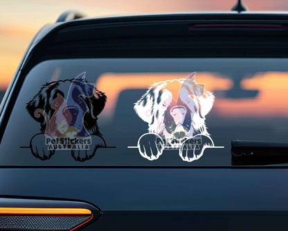 Saint Bernard Sticker