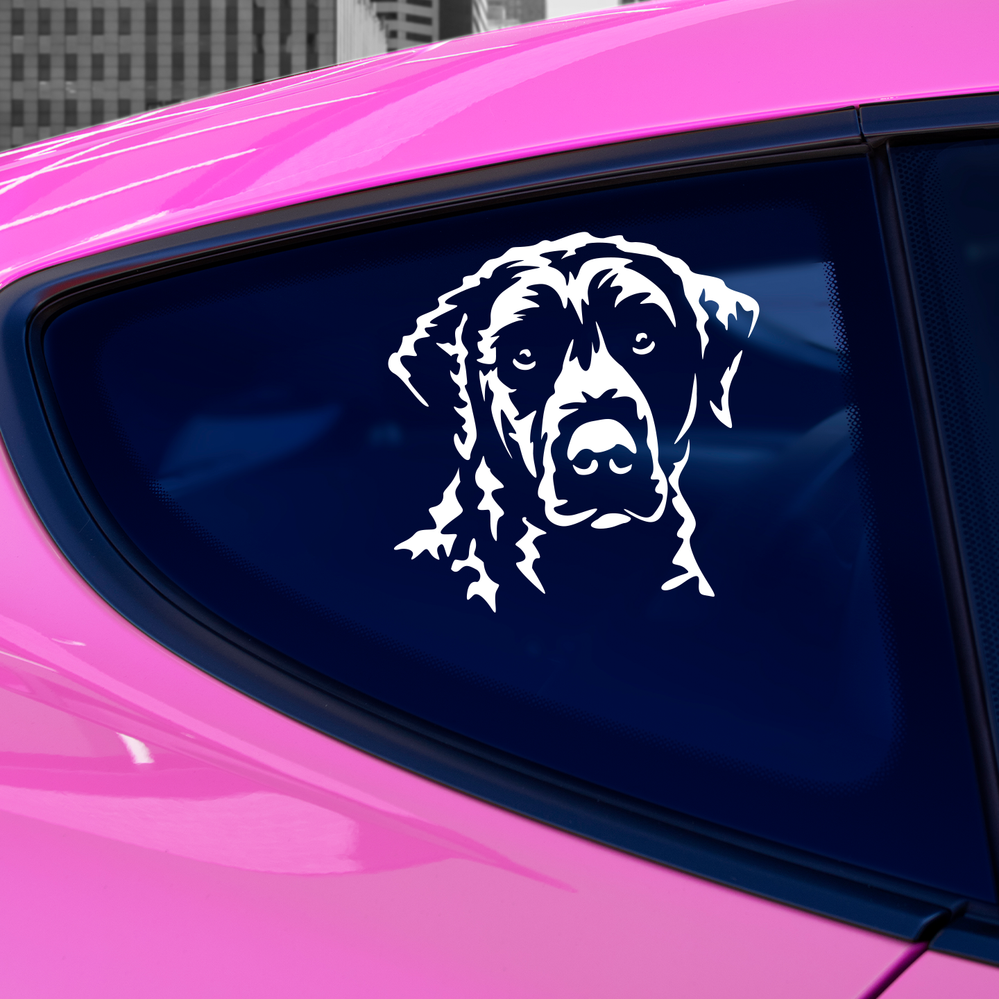 Curly Coated Retriever Sticker