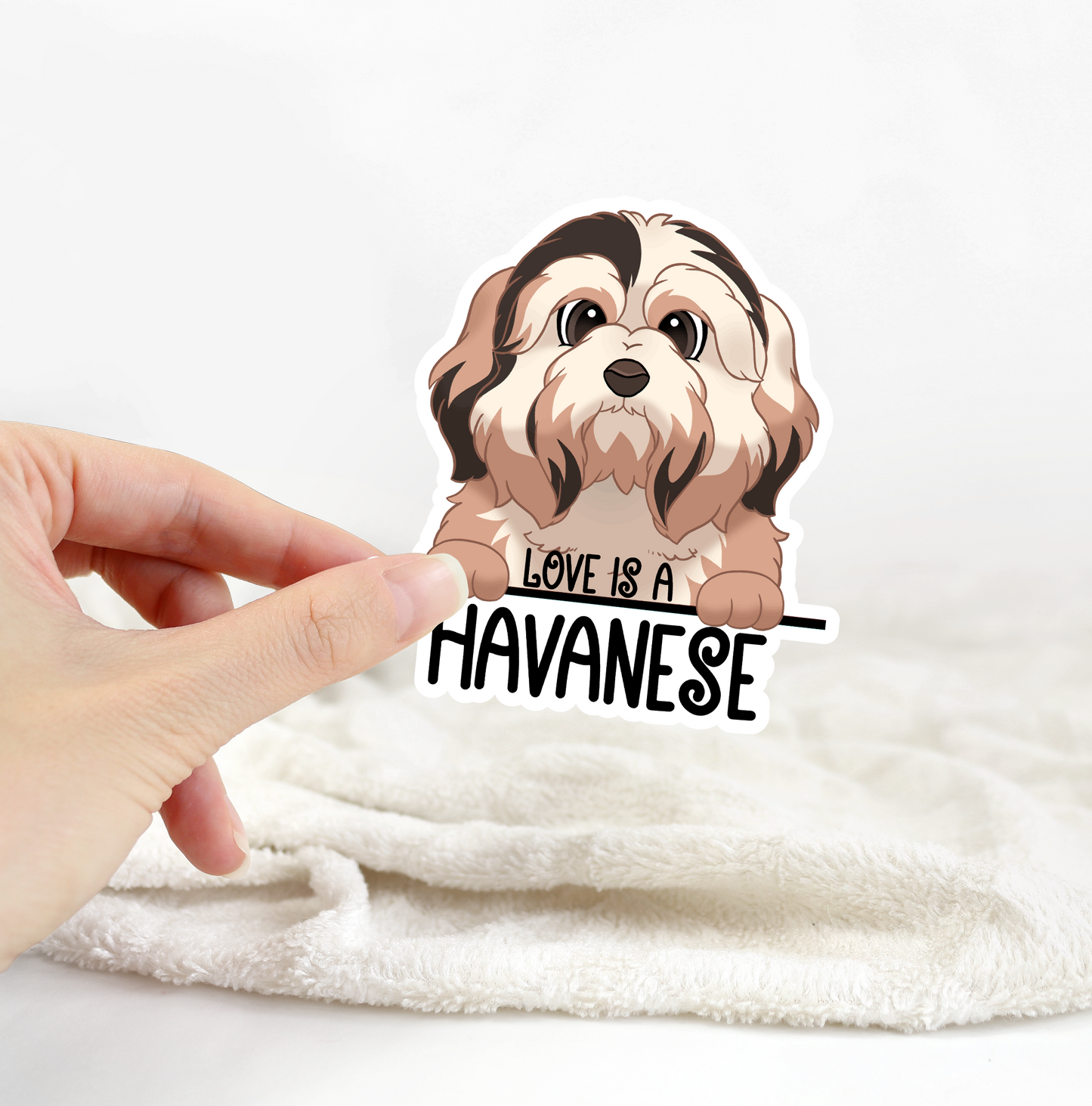 Love Is A Havanese Sticker