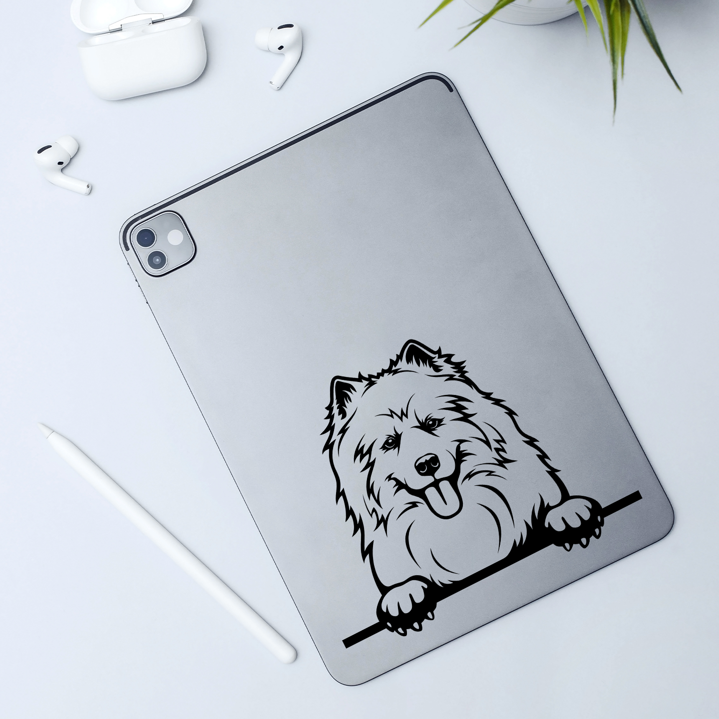 Samoyed Sticker