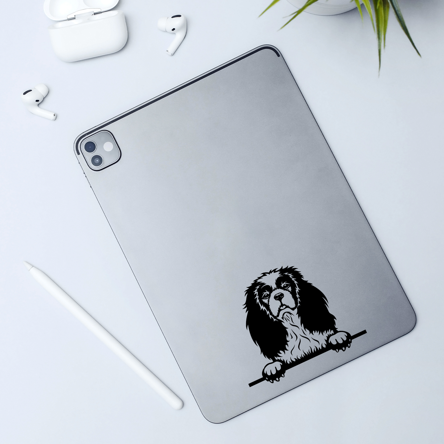 Cavalier King Charles Spaniel Sticker