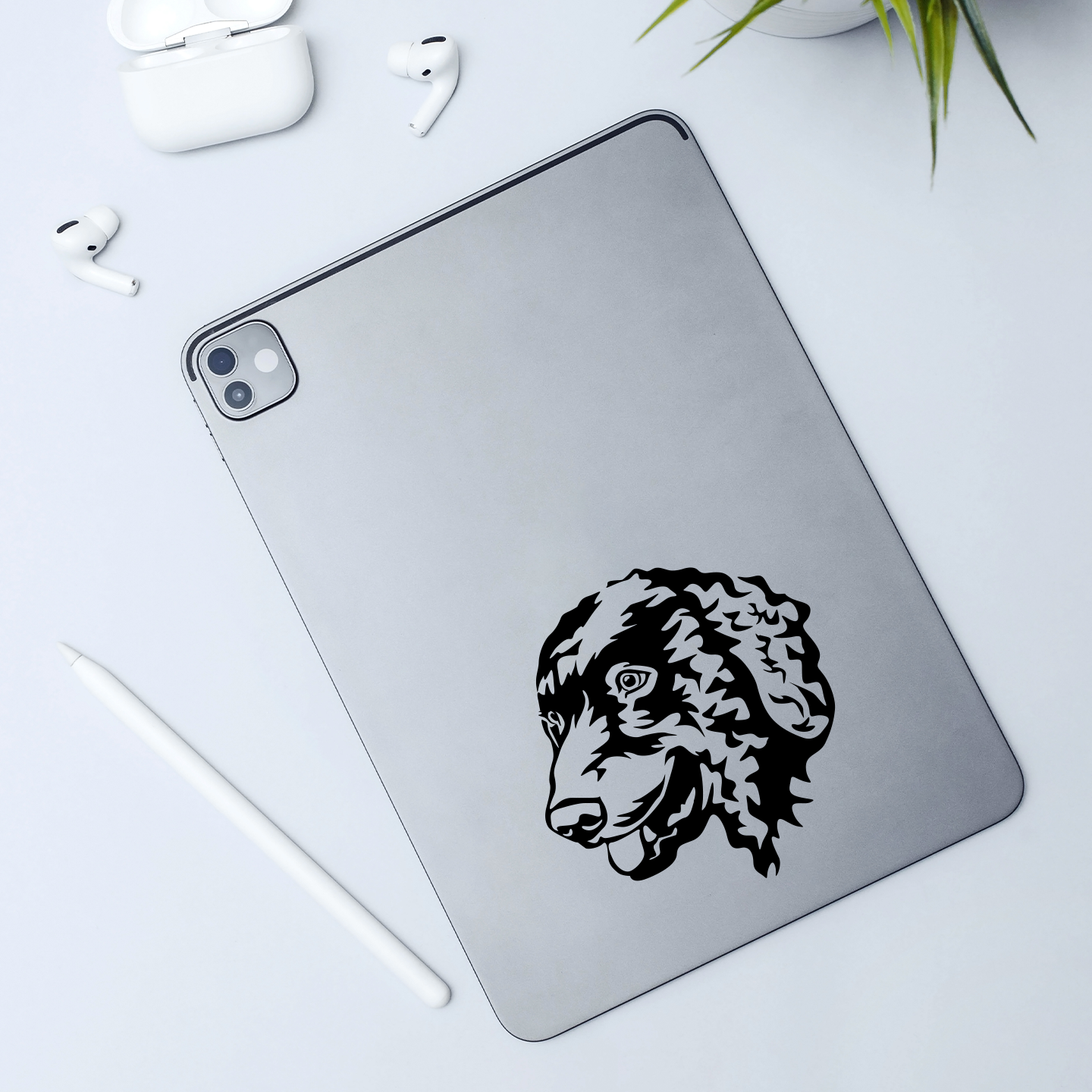 Curly Coated Retriever Sticker