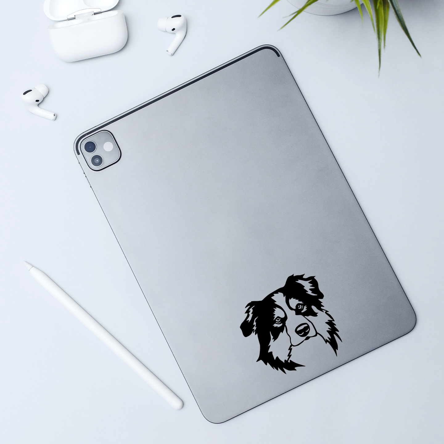 Australian Shepherd Sticker