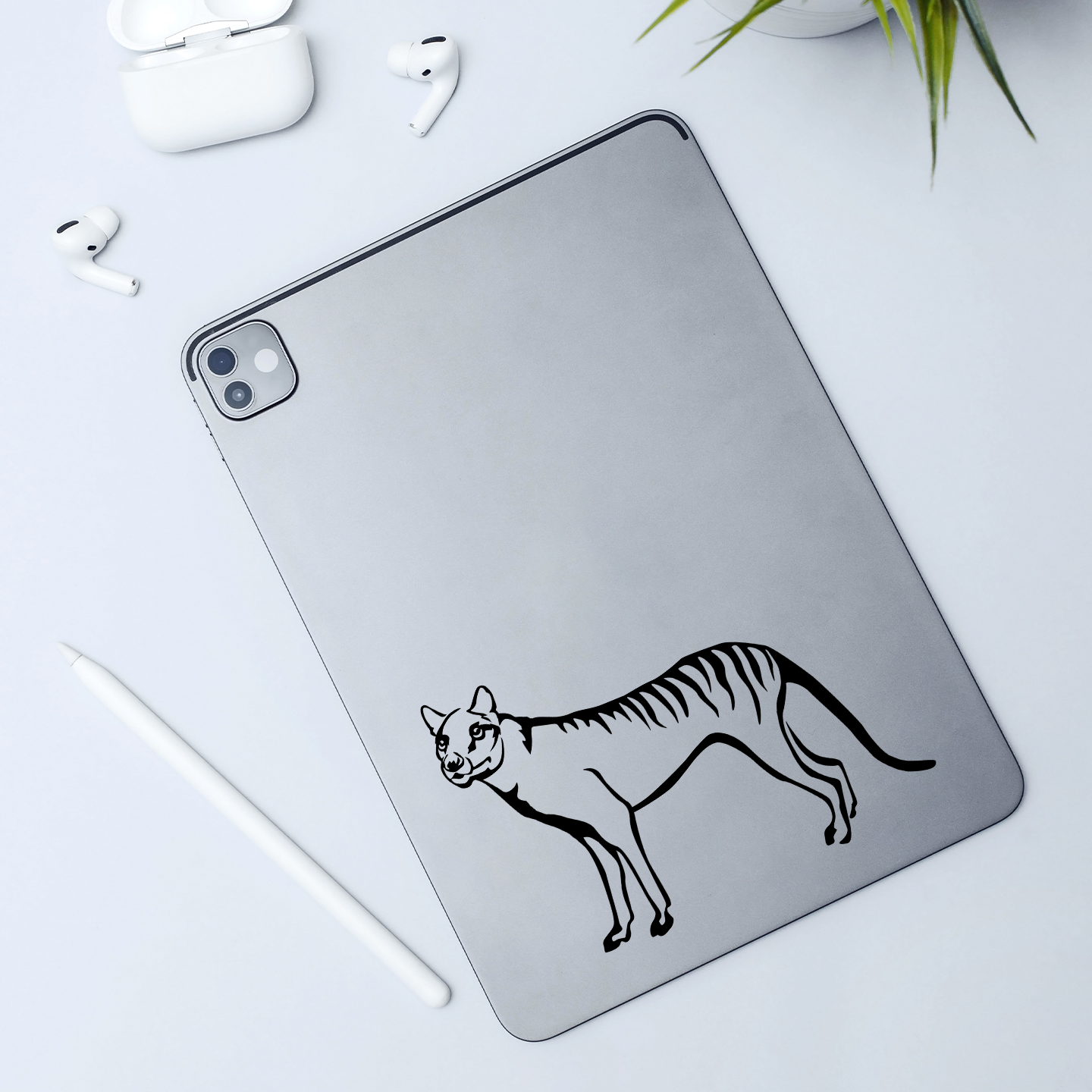 Tasmanian Tiger Sticker