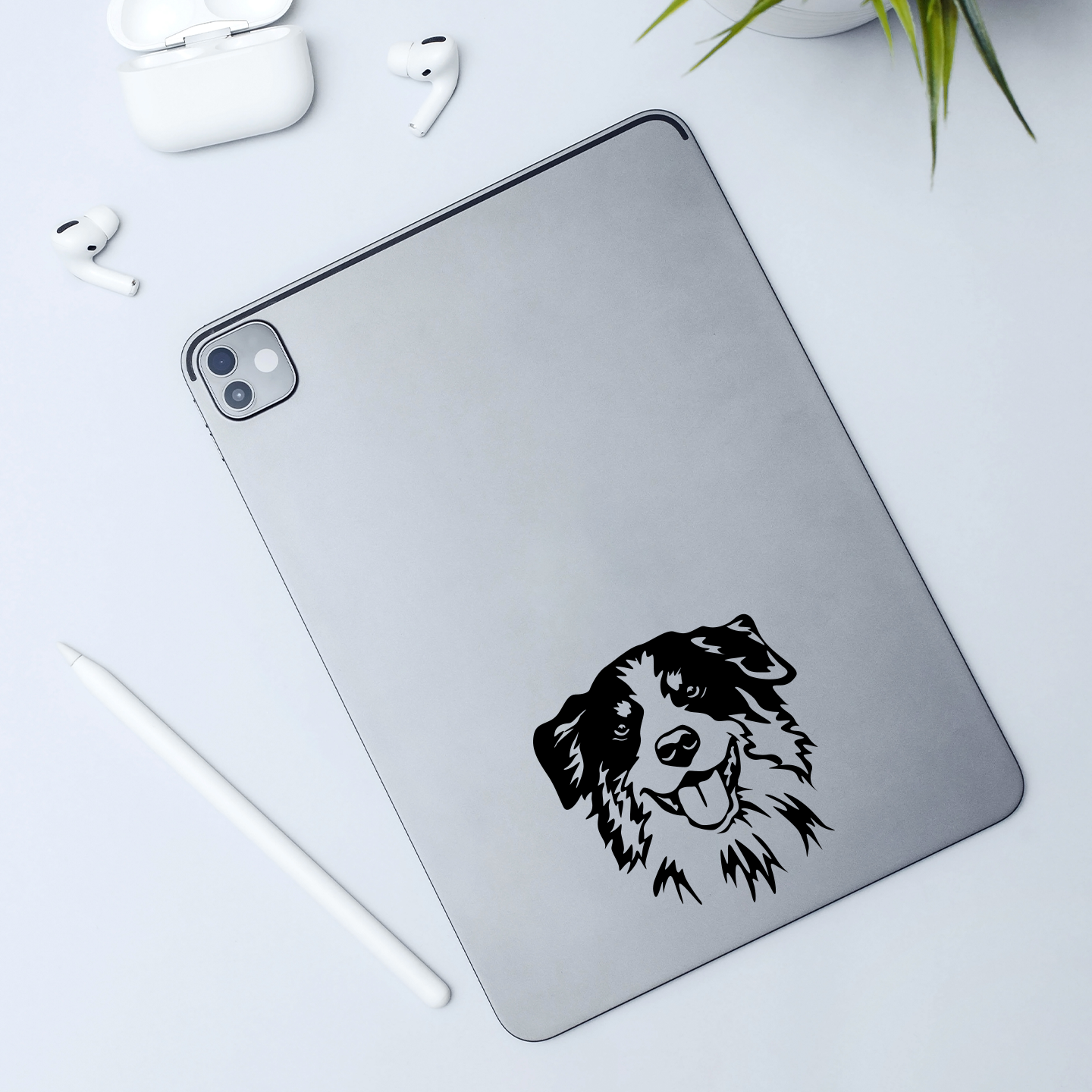 Australian Shepherd Sticker