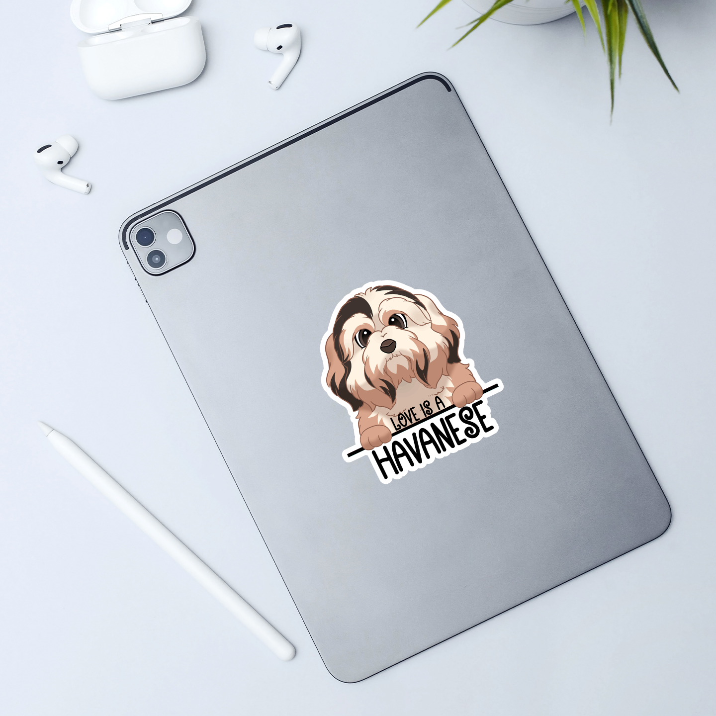 Love Is A Havanese Sticker