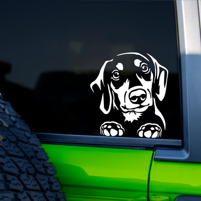 Dachshund Peeping Sticker