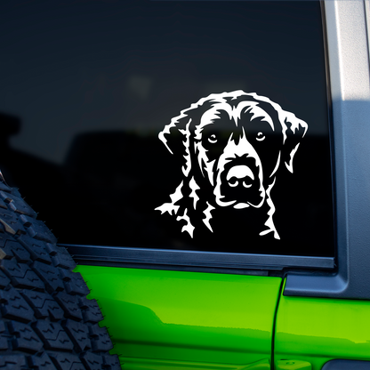 Curly Coated Retriever Sticker