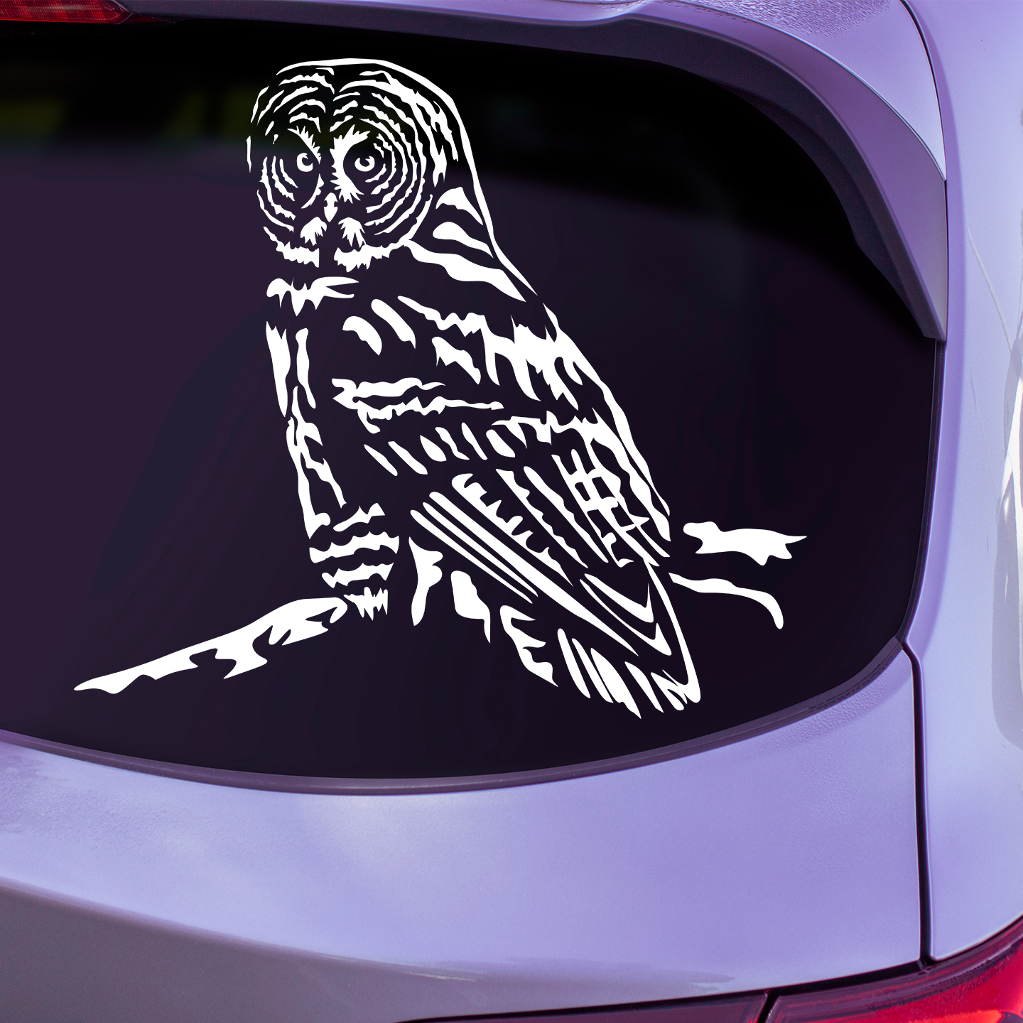 Great Grey Owl Sticker | Bird Stickers For Cars Australia – Pet ...