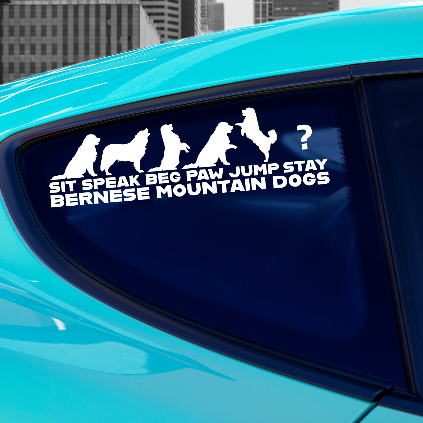 Bernese Mountain Dog Tricks Sticker