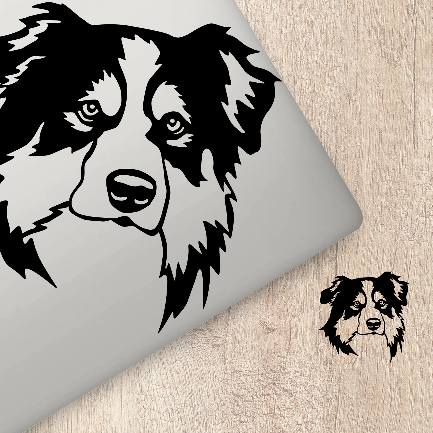 Australian Shepherd Sticker