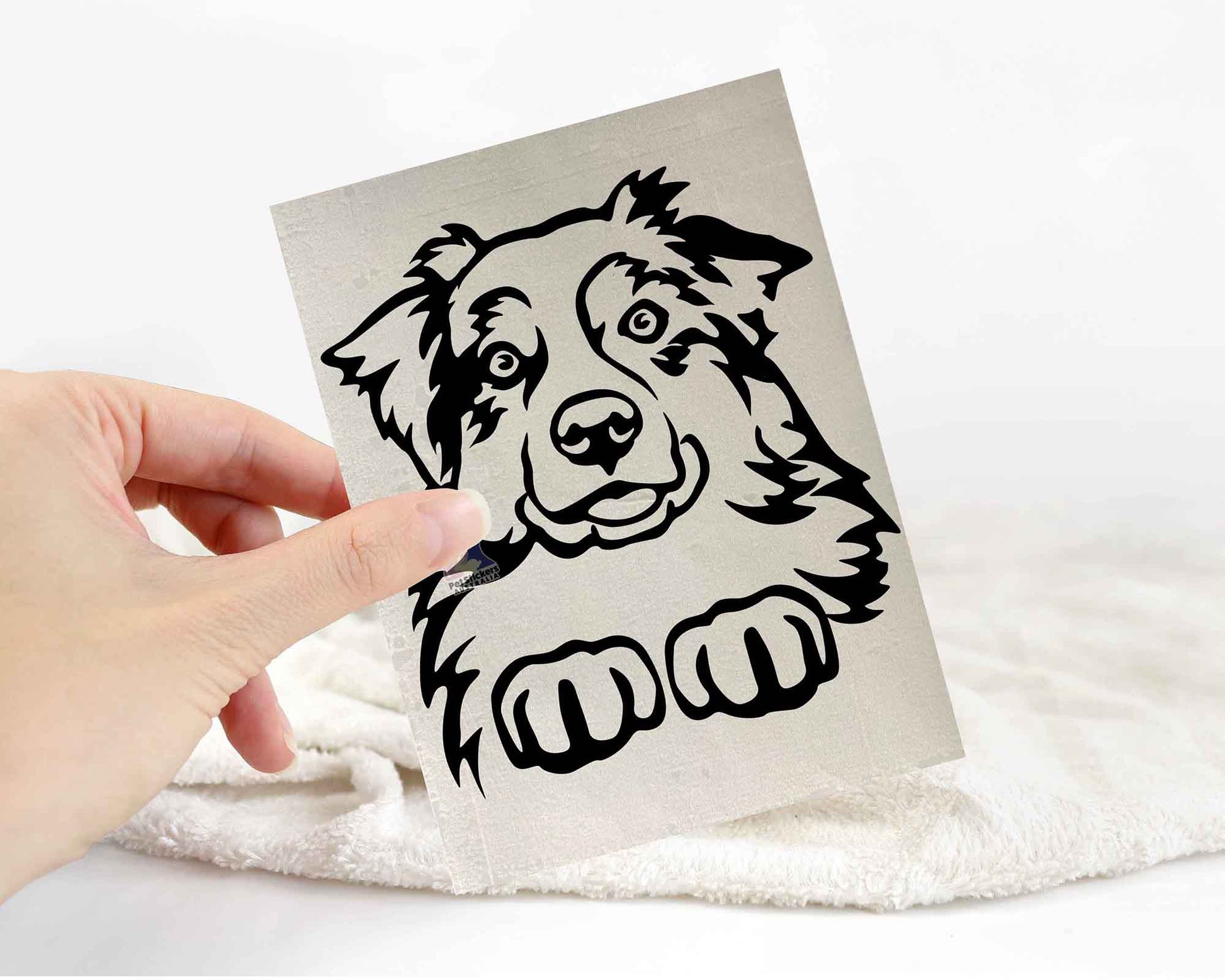 Australian Shepherd Sticker