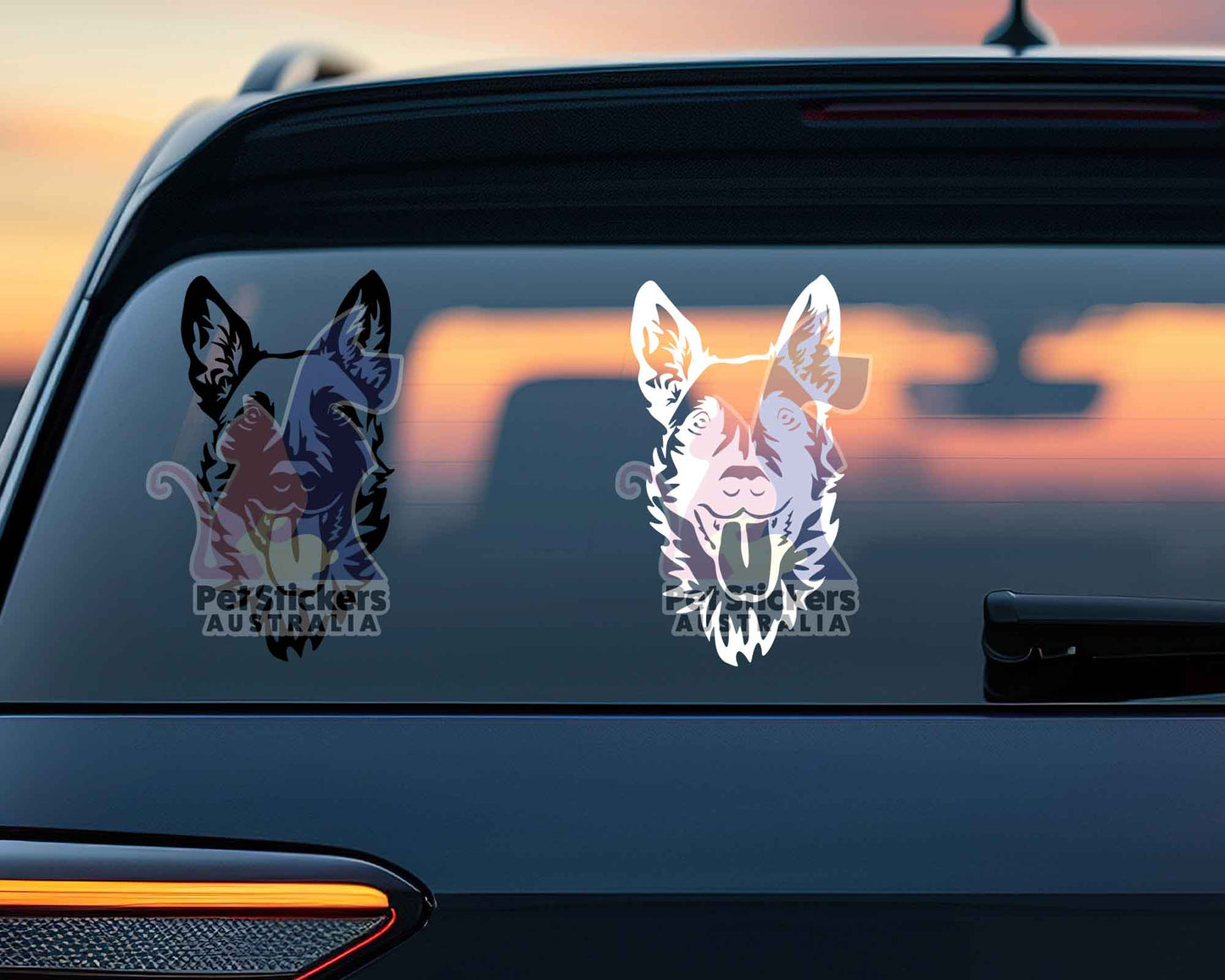 Malinois Sticker