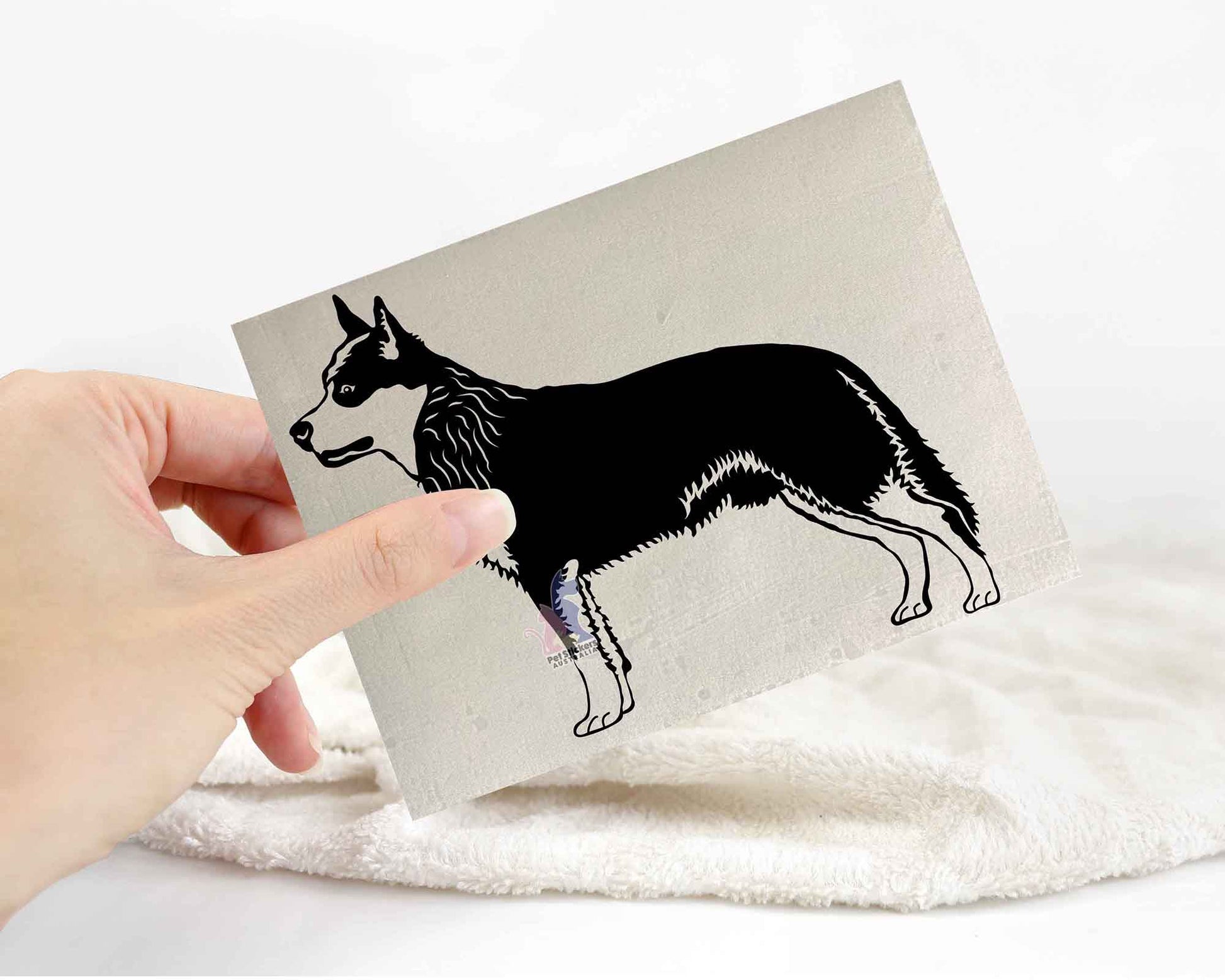 Cattle Dog Sticker