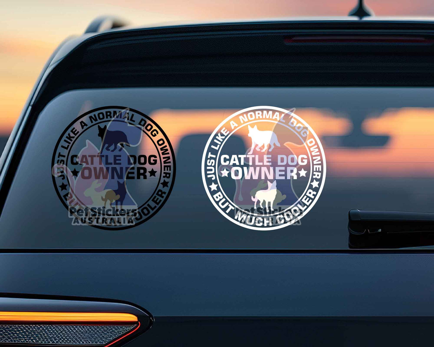 Cattle Dog Owner But Cooler Sticker