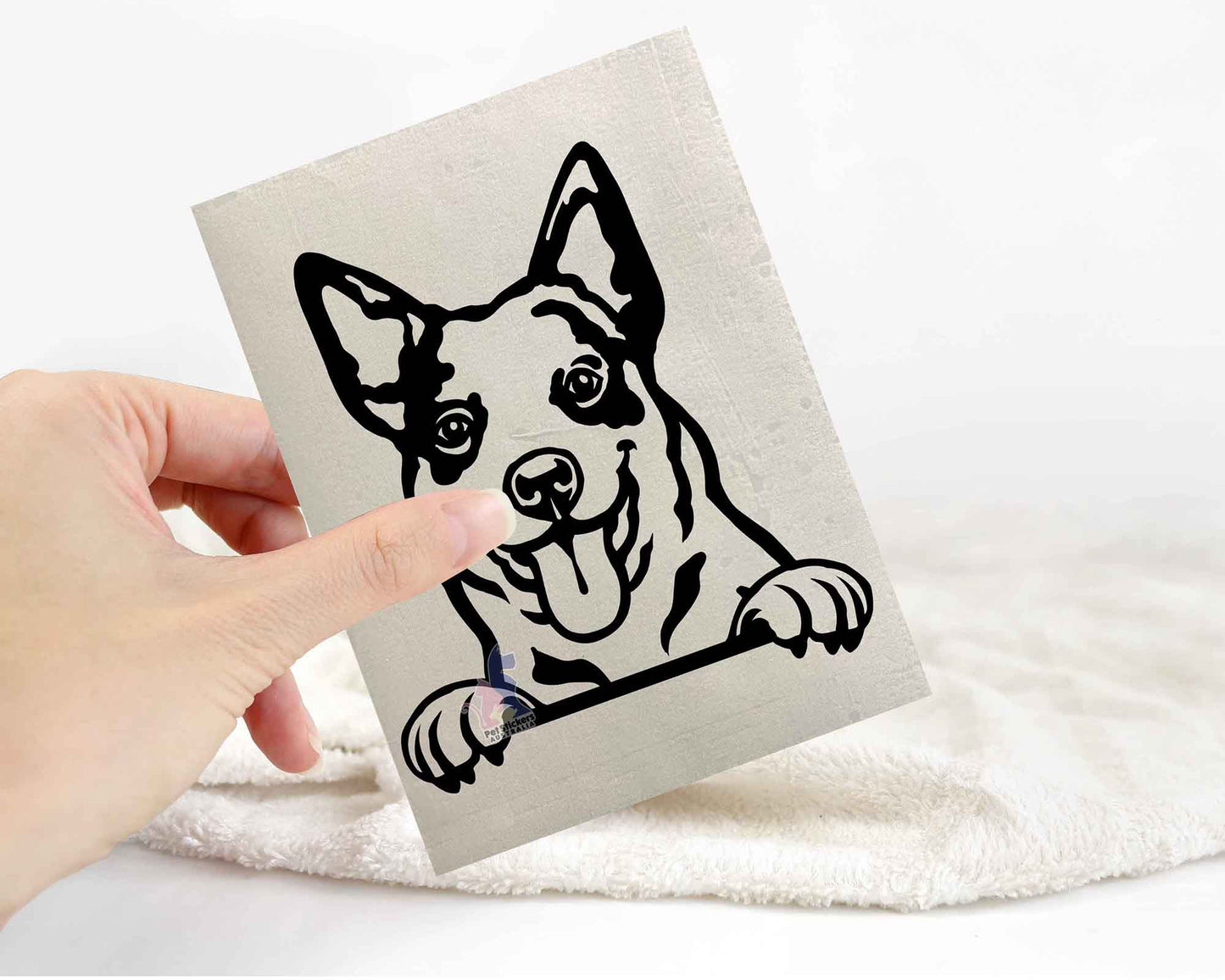 Cattle Dog Sticker