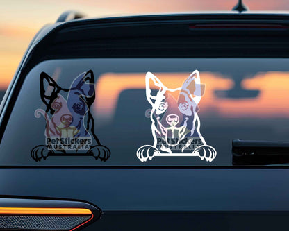 Cattle Dog Sticker