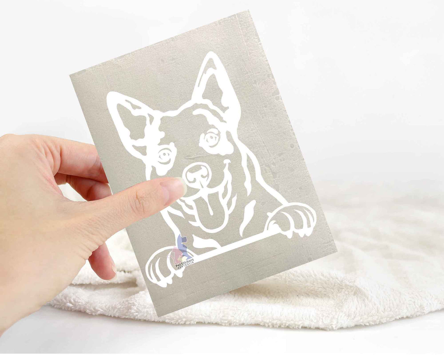 Cattle Dog Sticker