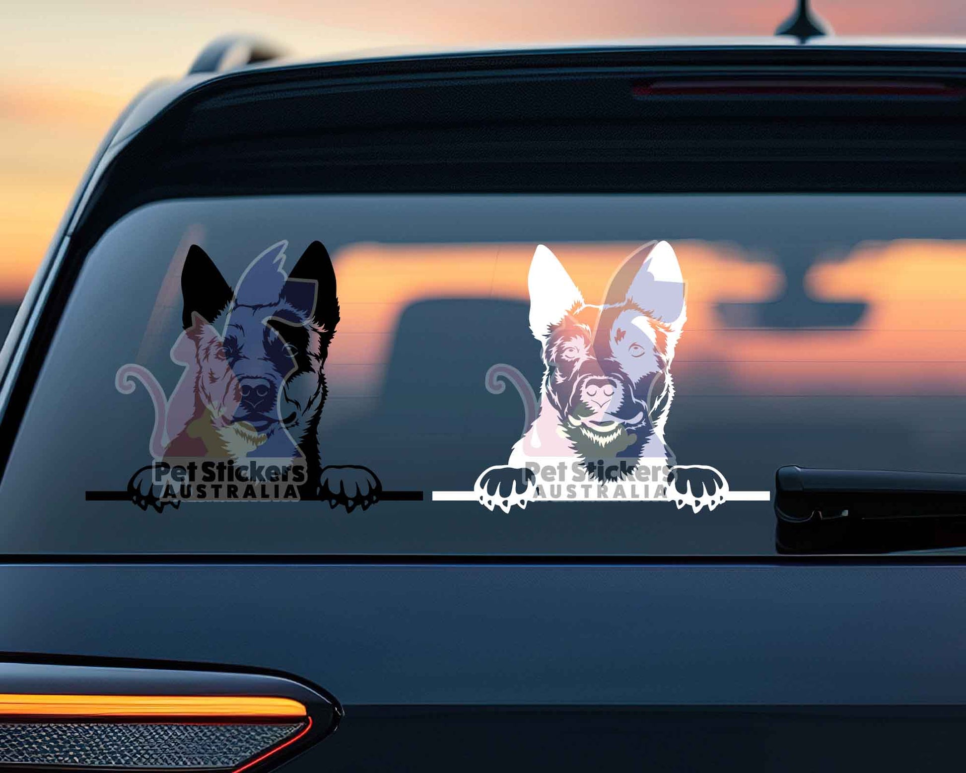 Cattle Dog Sticker