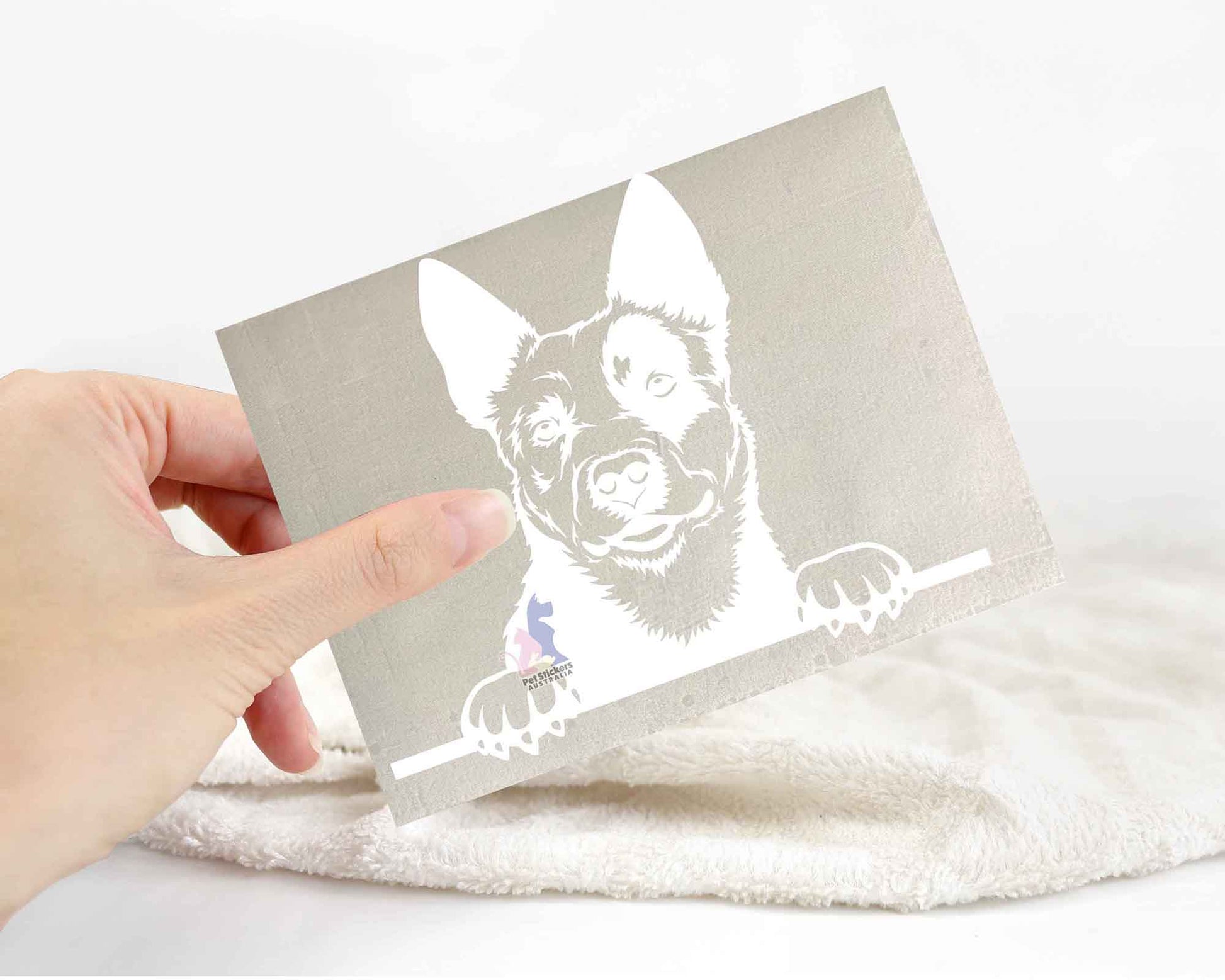 Cattle Dog Sticker