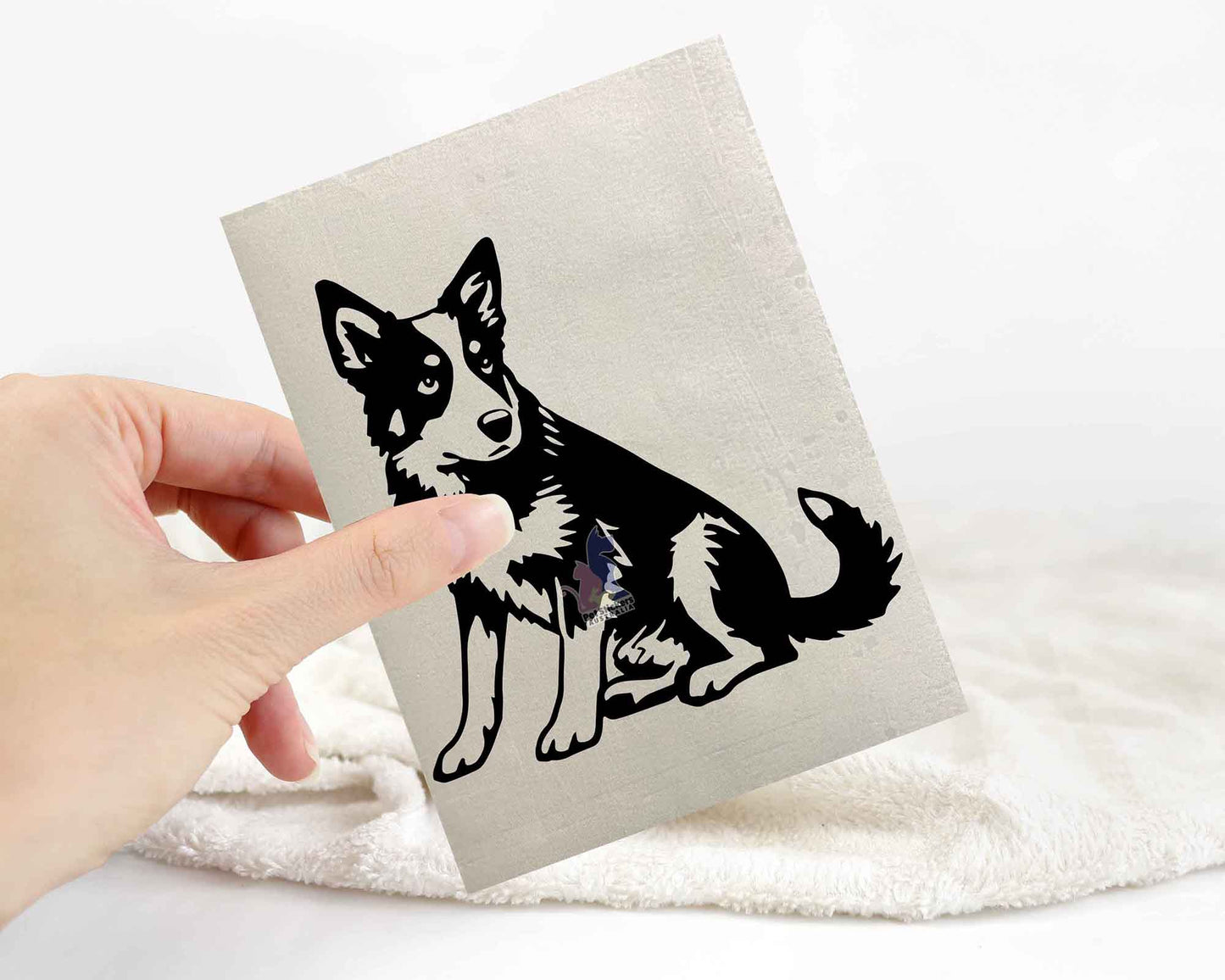 Cattle Dog Stickers