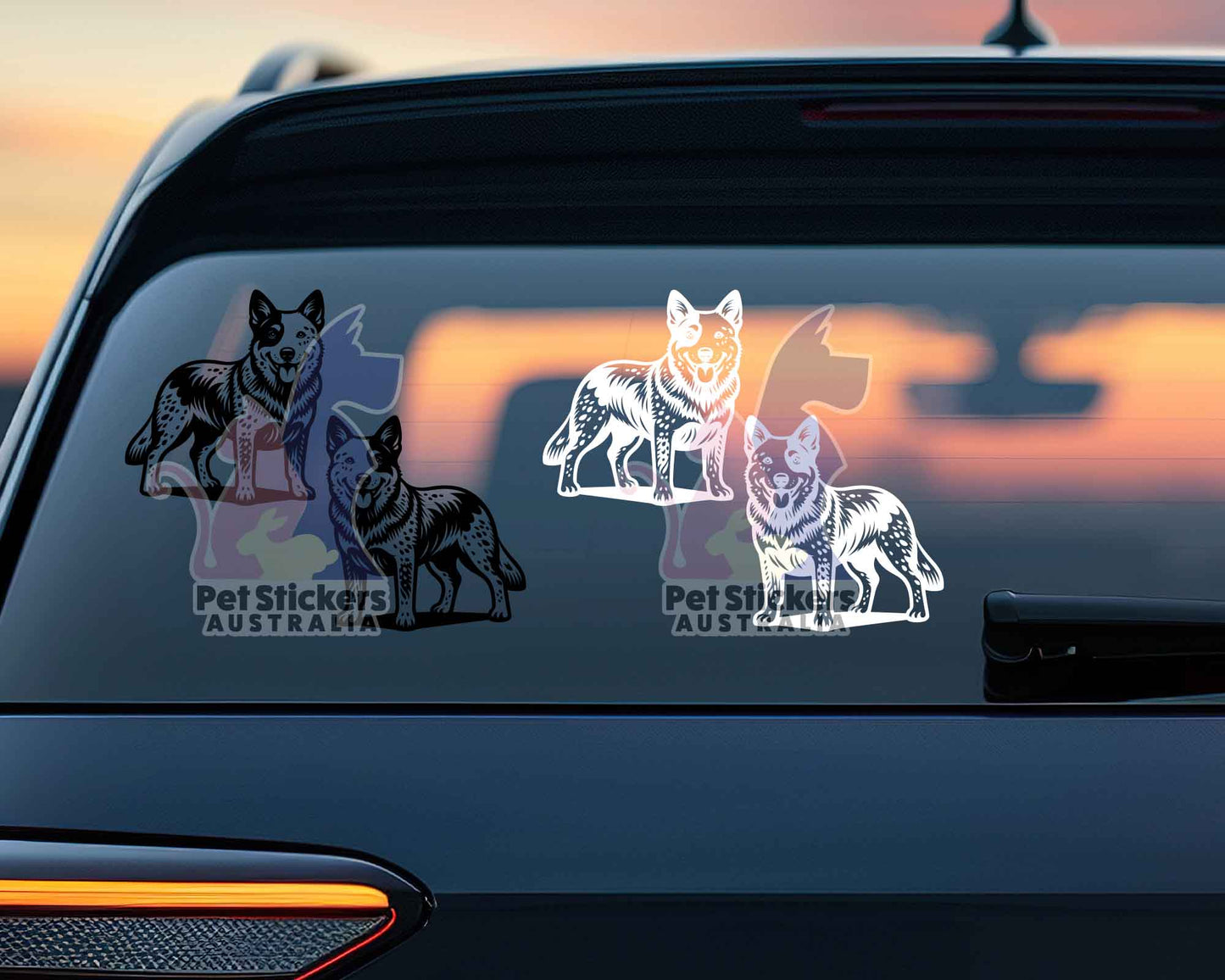 Cattle Dog Stickers