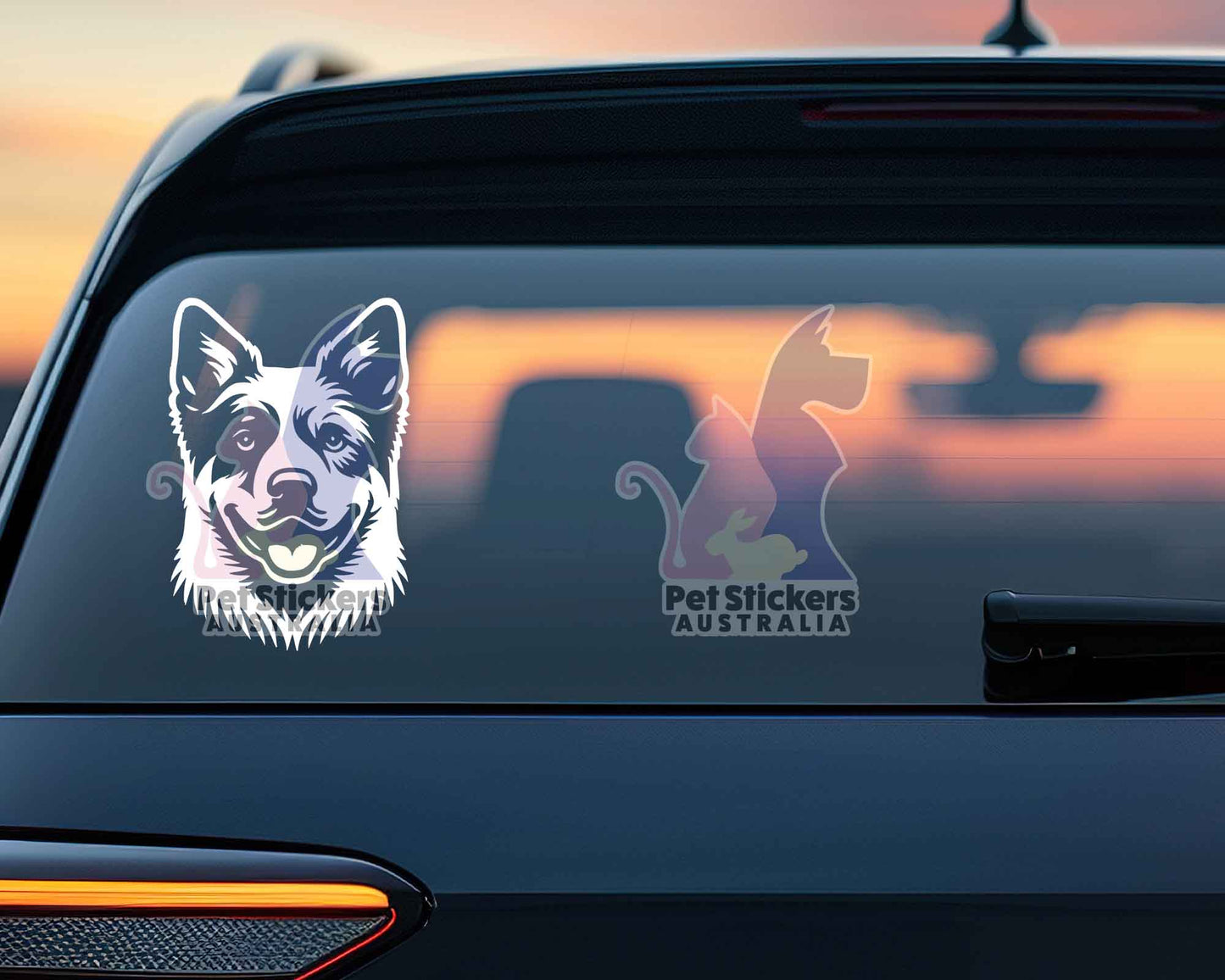 Cattle Dog Sticker